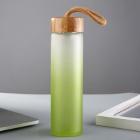 450ml Green Bamboo Lid Frozen Glass Water Bottle with Infuser